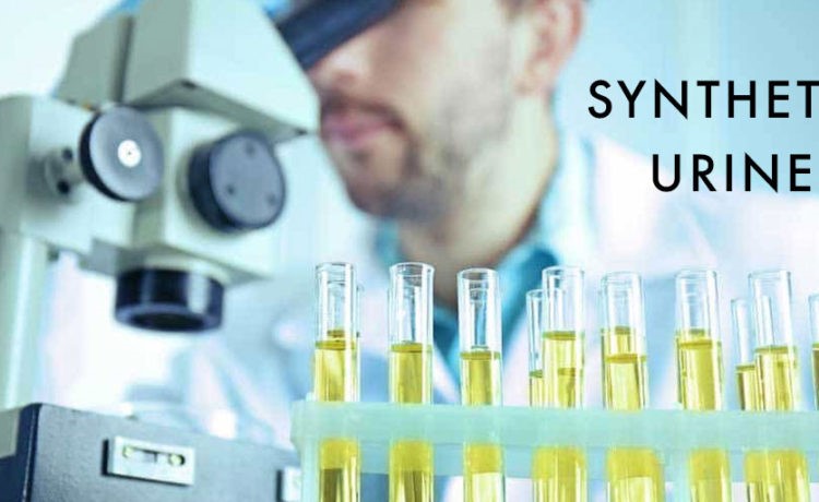 Synthetic Urine Fail Towns of Carriage Downs Apex NC